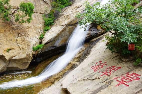 逃离小人国森林